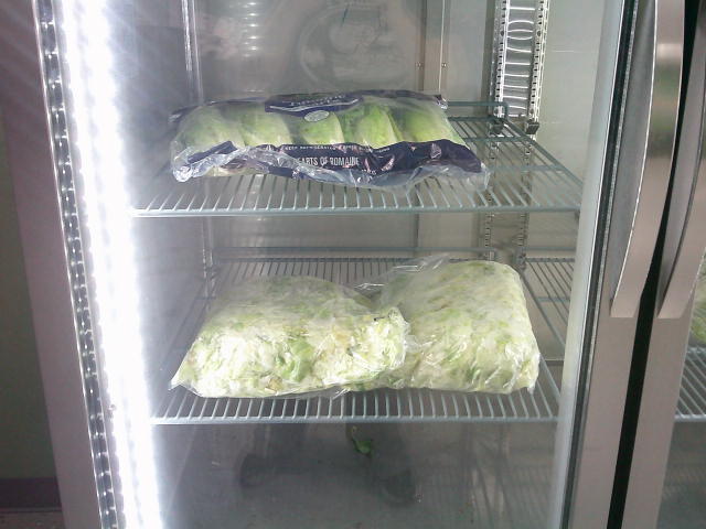 Romaine hearts on the top shelf and bags of lettuce on the middle shelf of a fridge.